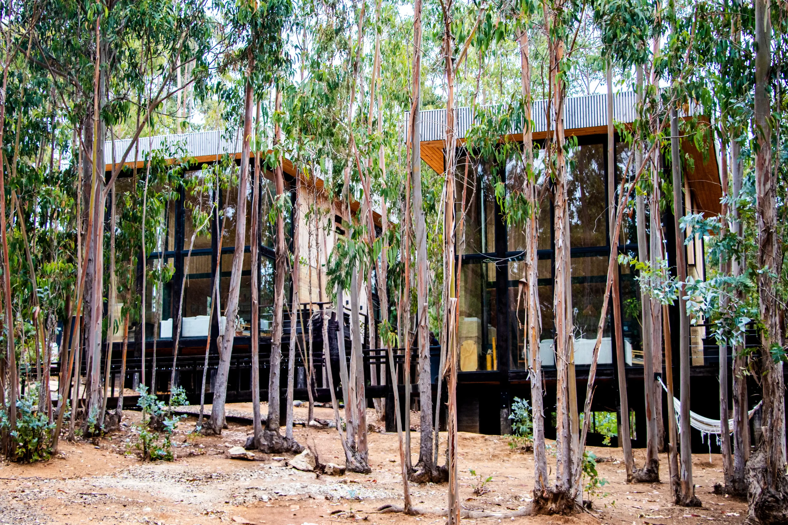 tripanko lodge construccion pichilemu 4