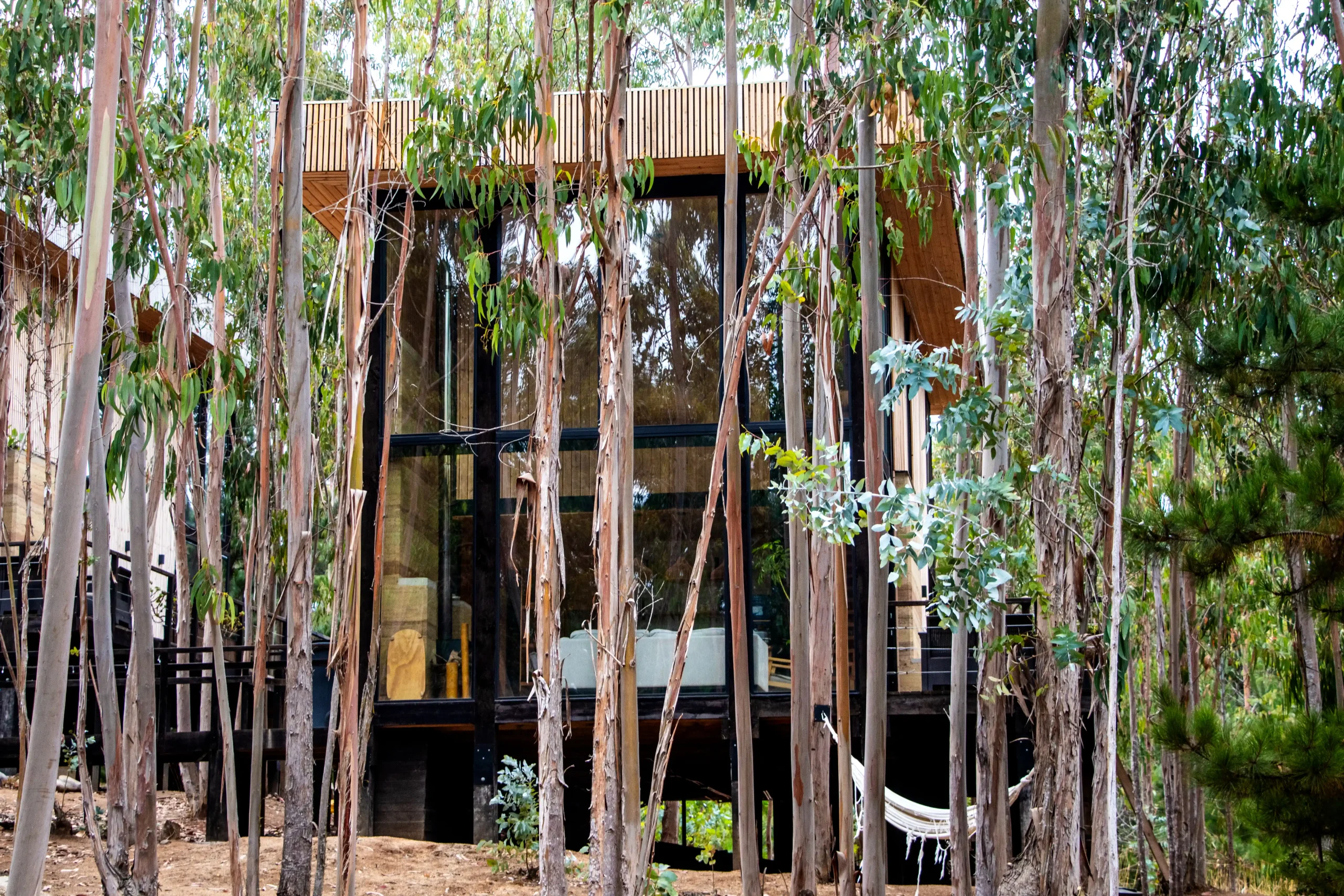 tripanko lodge construccion pichilemu 5