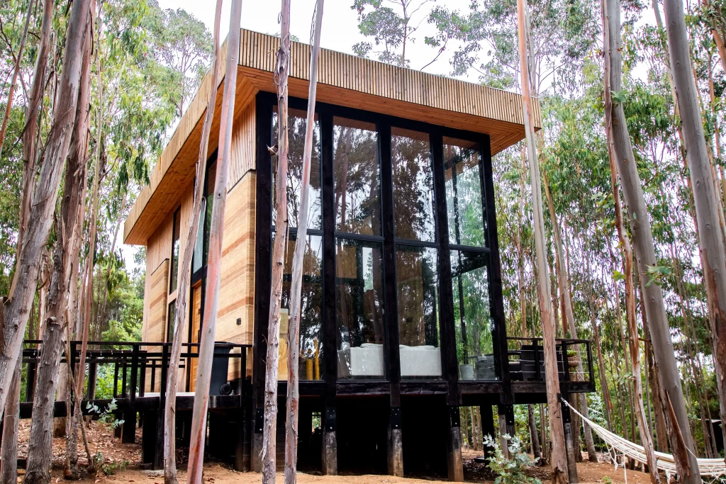 tripanko lodge construccion pichilemu 6